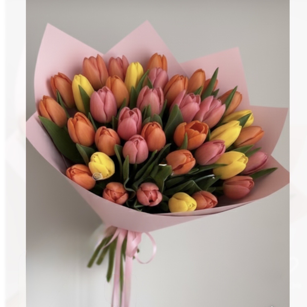 Angle Tulip